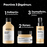 L'Oréal Professionnel Absolut Repair Limited Edition Trio Gift Set