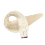 Tape Extension Φυσική Τρίχα Remy Πλατινέ No 60 - Romylos All About Hair