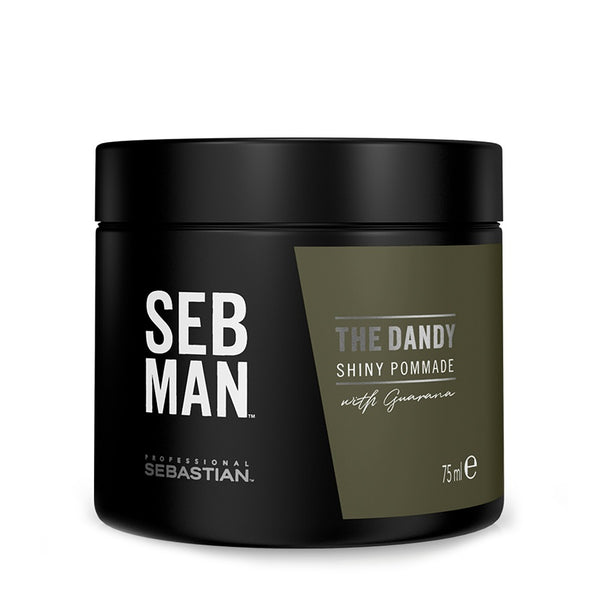 Sebastian Professional Seb Man Dandy Pomade 75ml - Romylos All About Hair